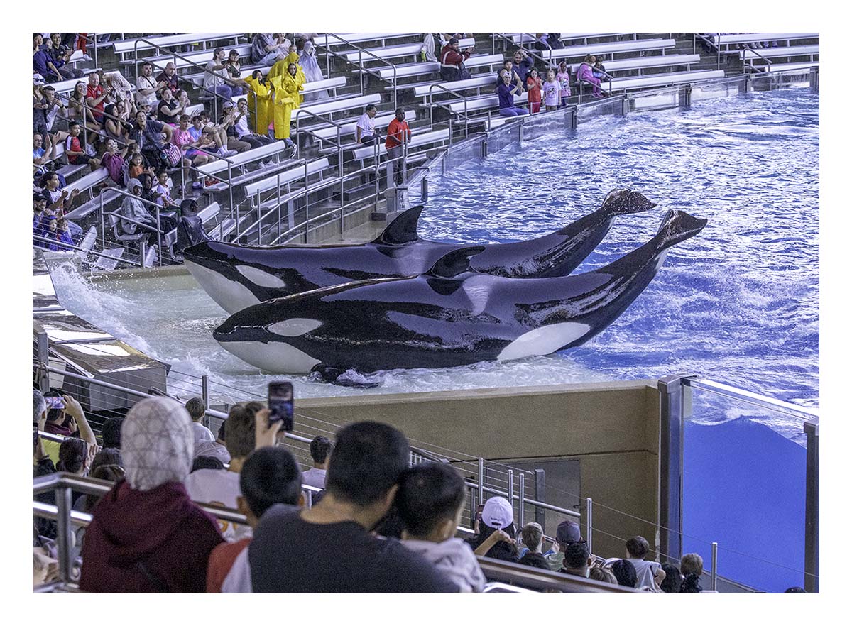 SeaWorld Orlando