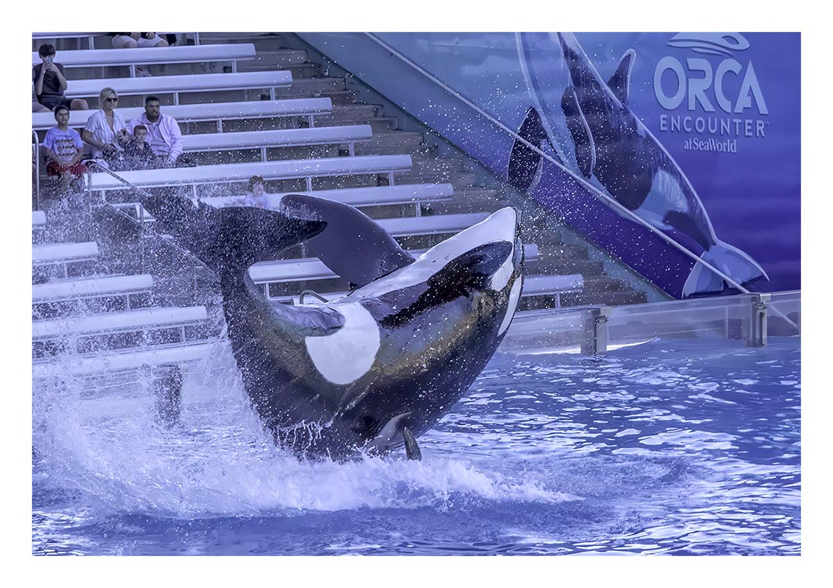 SeaWorld Orlando