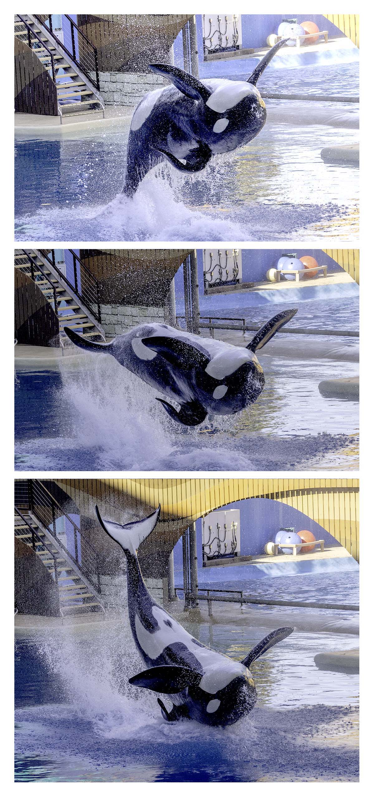 SeaWorld Orlando
