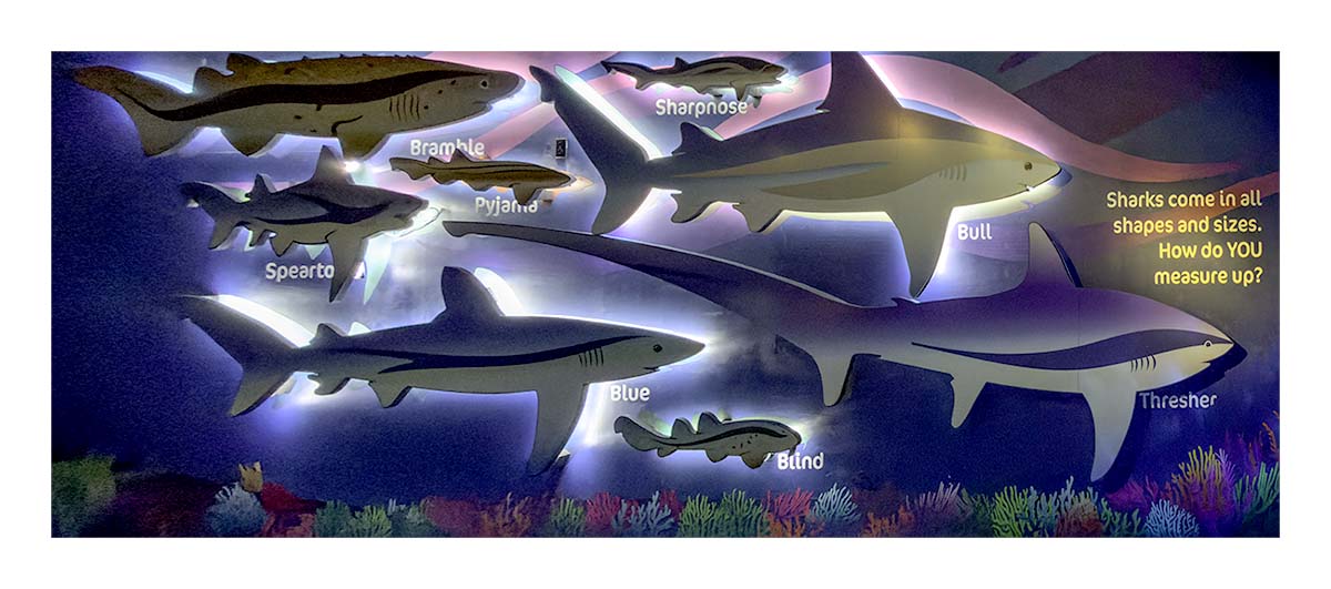 SeaWorld Orlando