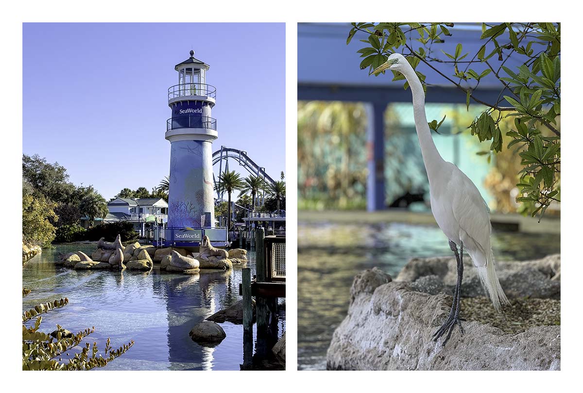 SeaWorld Orlando