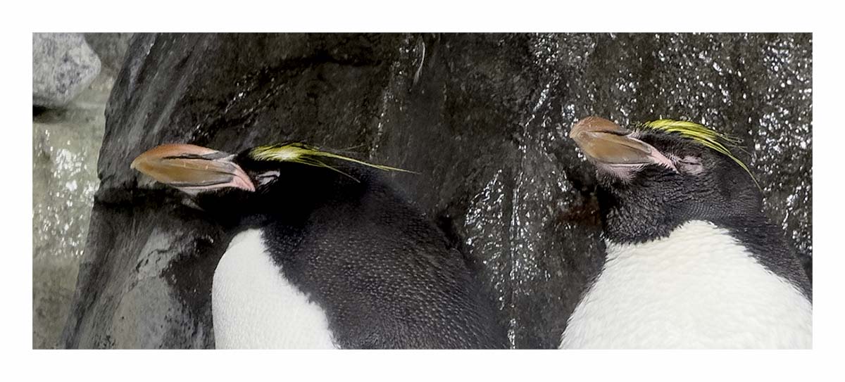 SeaWorld Orlando