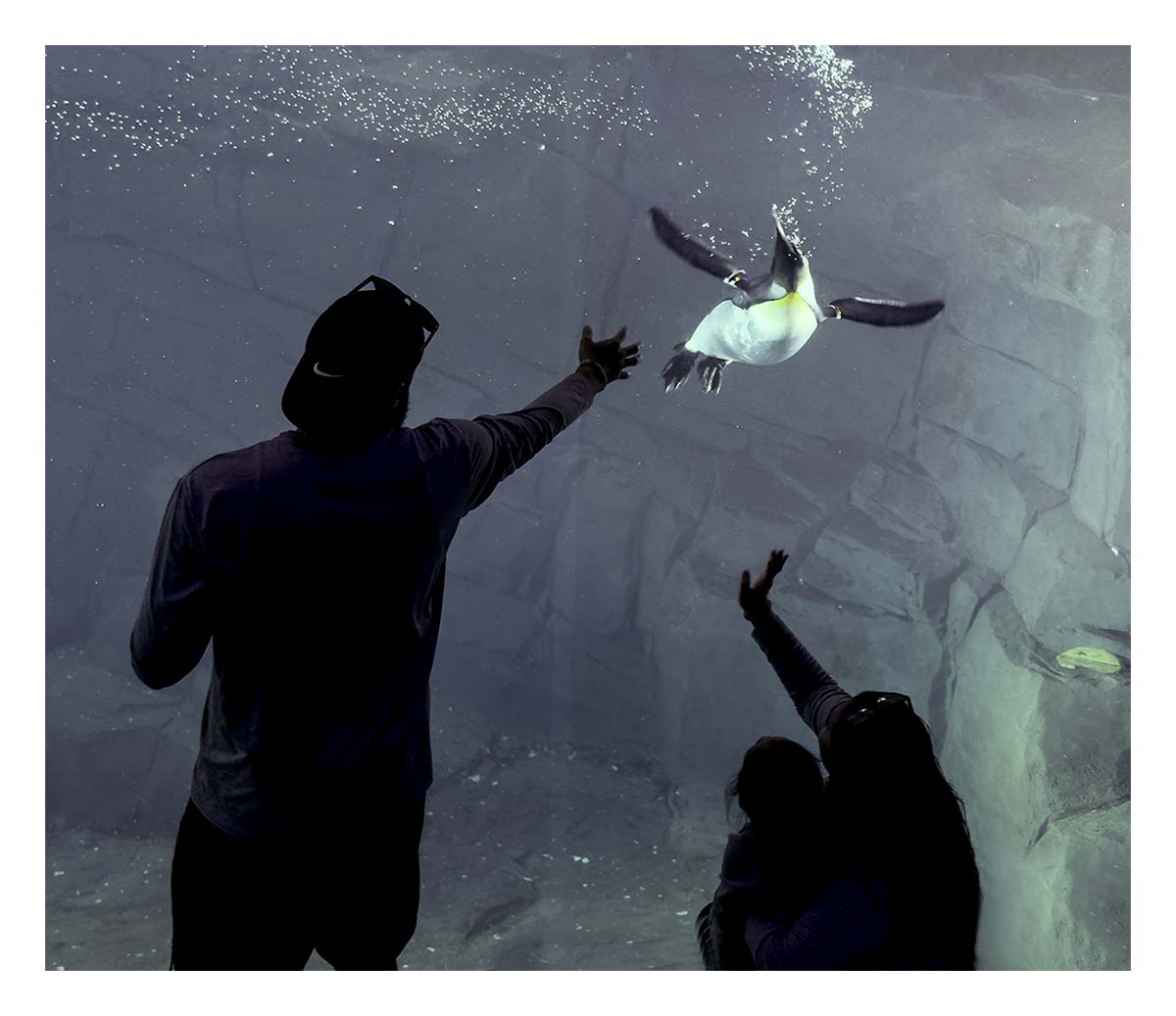 SeaWorld Orlando