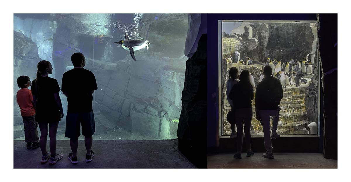 SeaWorld Orlando