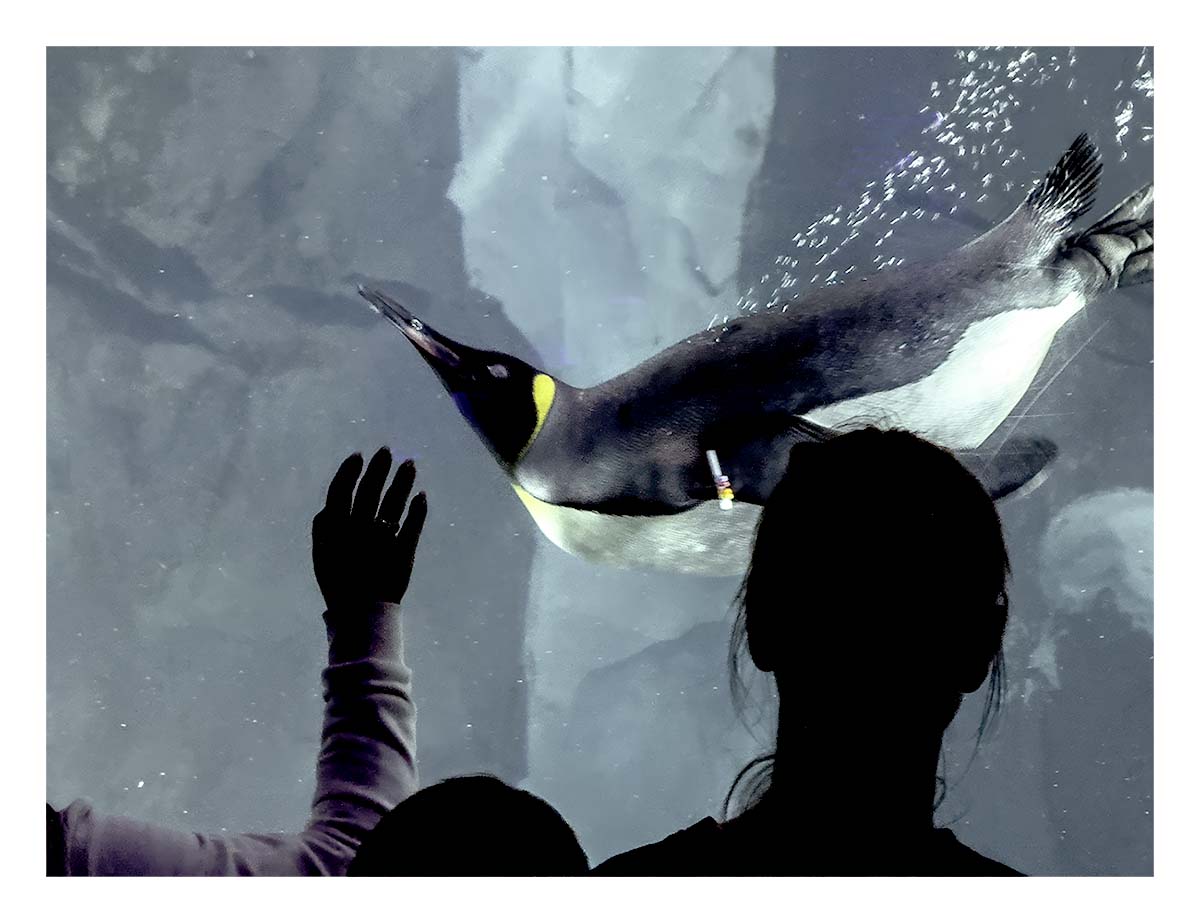 SeaWorld Orlando