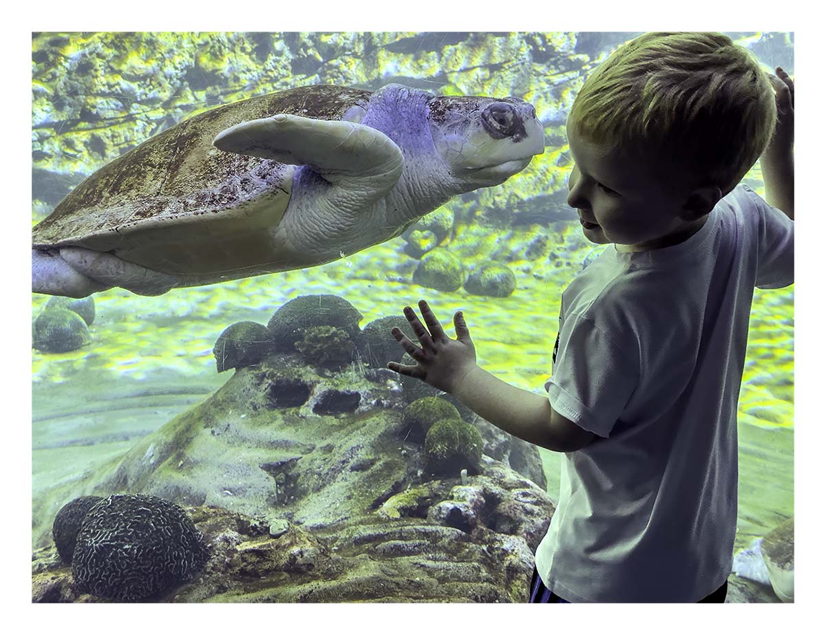 SeaWorld Orlando