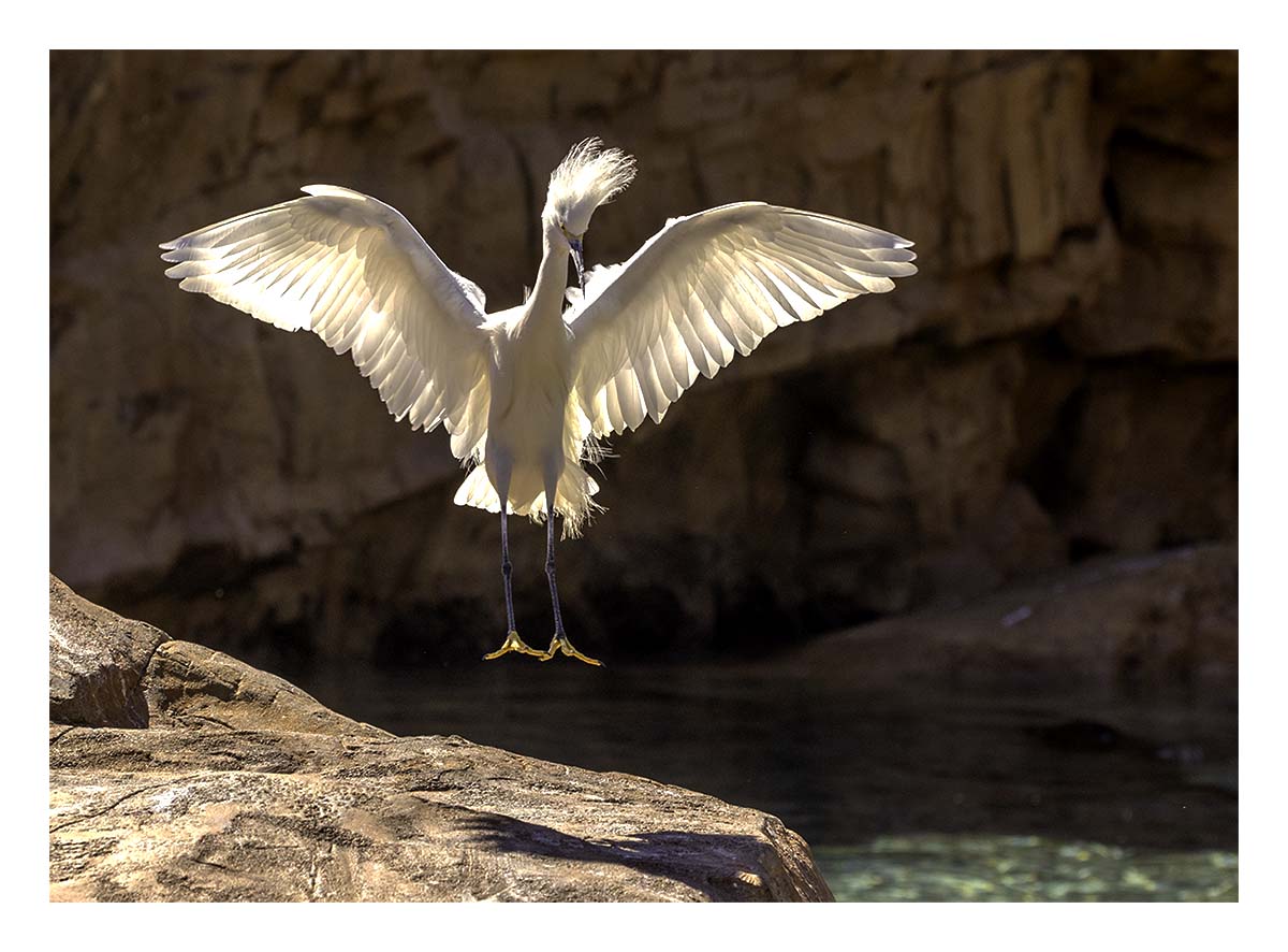 SeaWorld Orlando