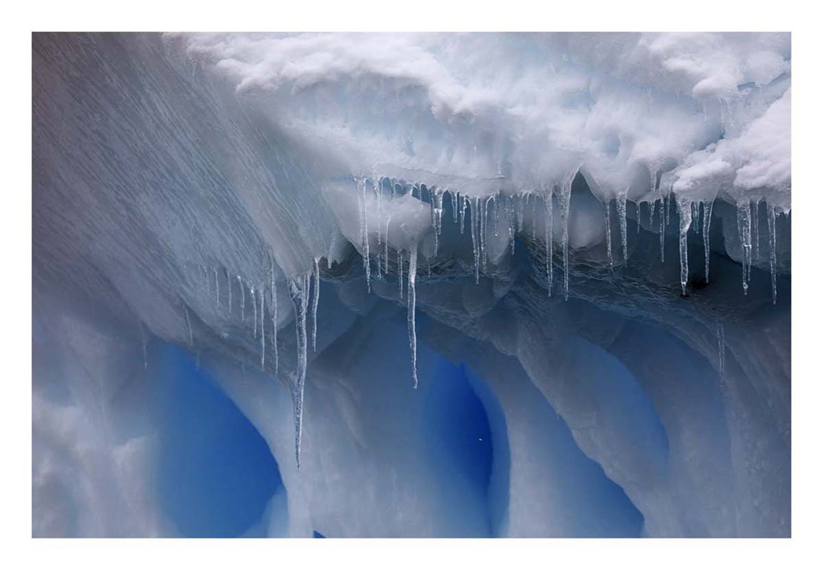 Antartica