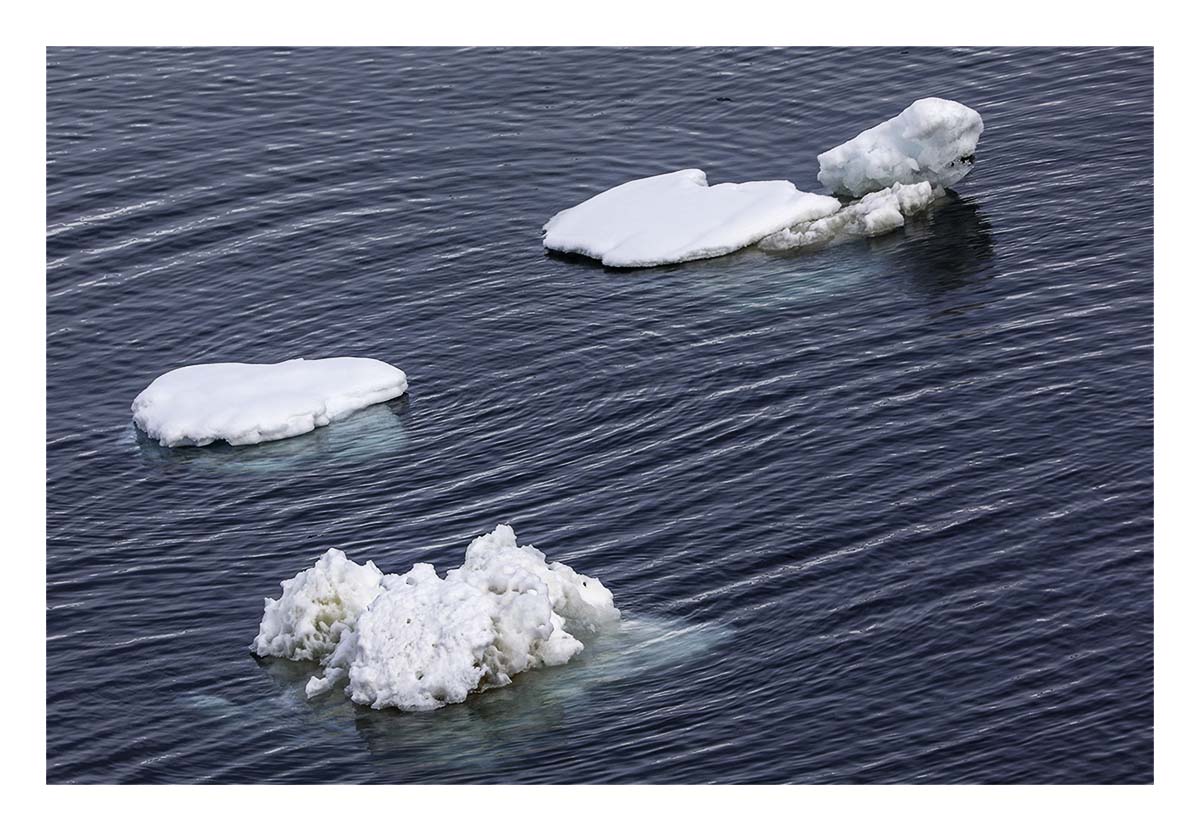 Antartica