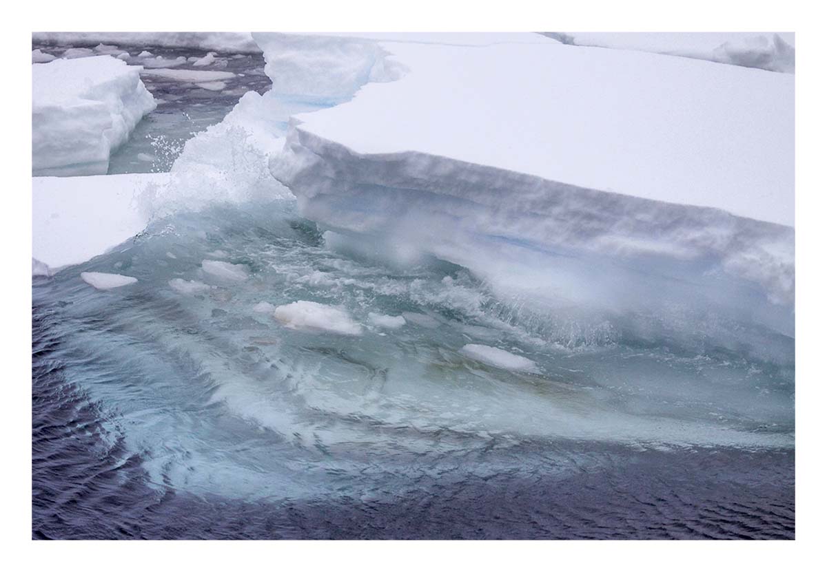 Antartica