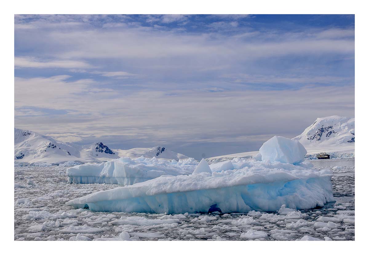 Antartica