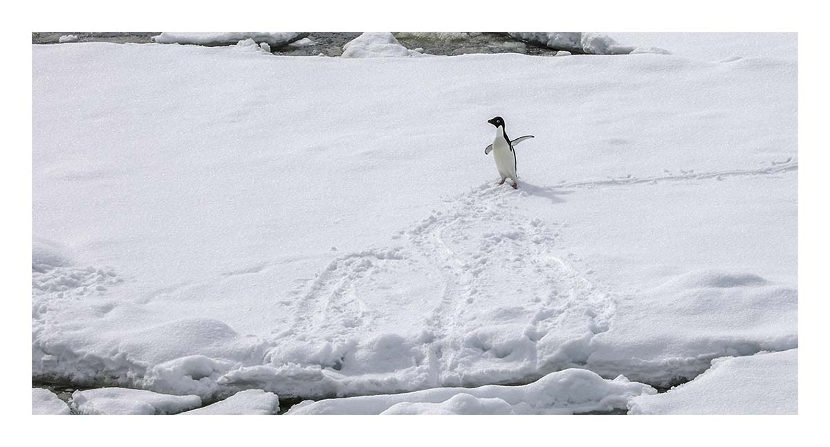 Antartica