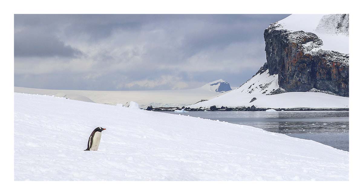 Antartica
