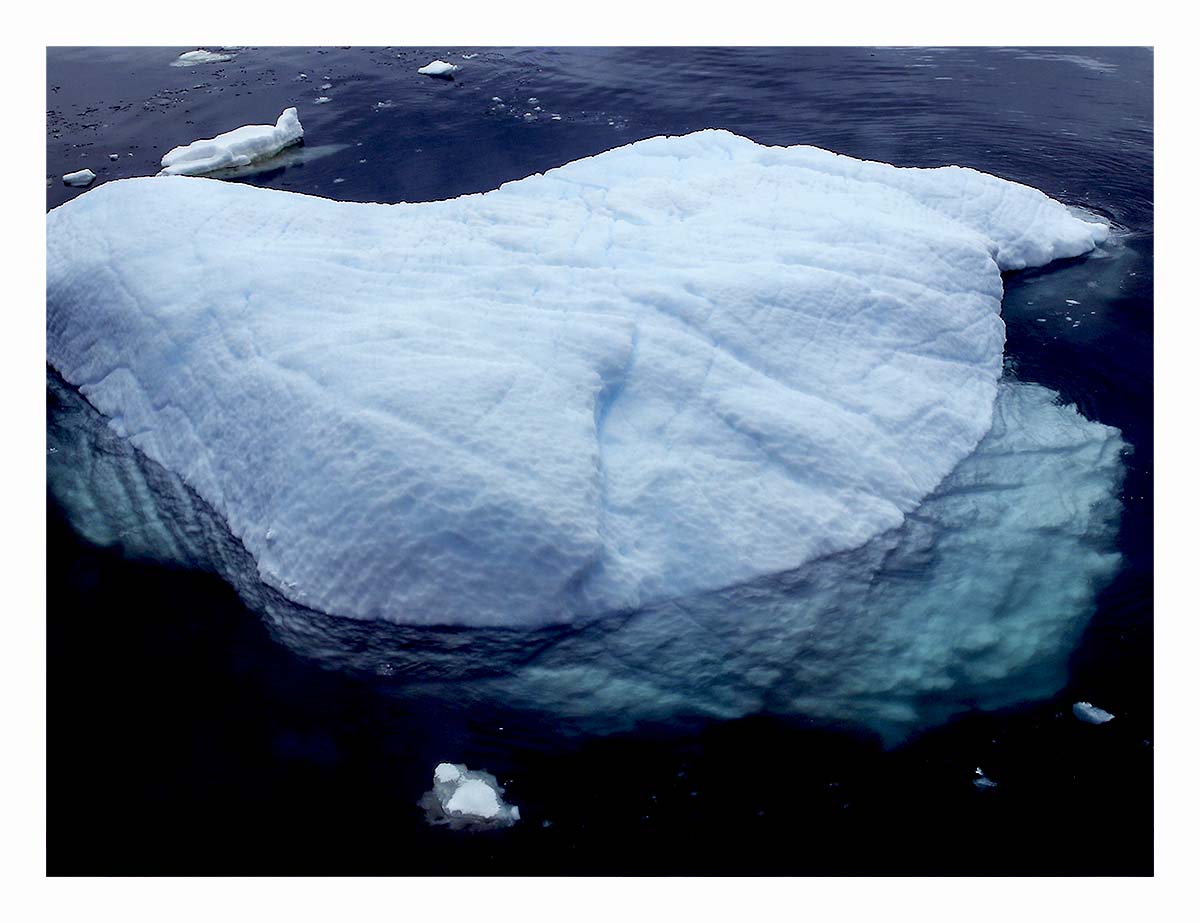 Antartica