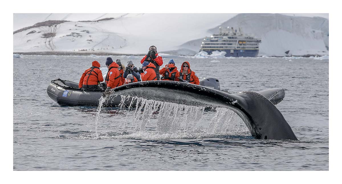 Antartica