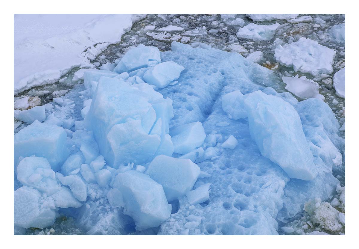Antartica