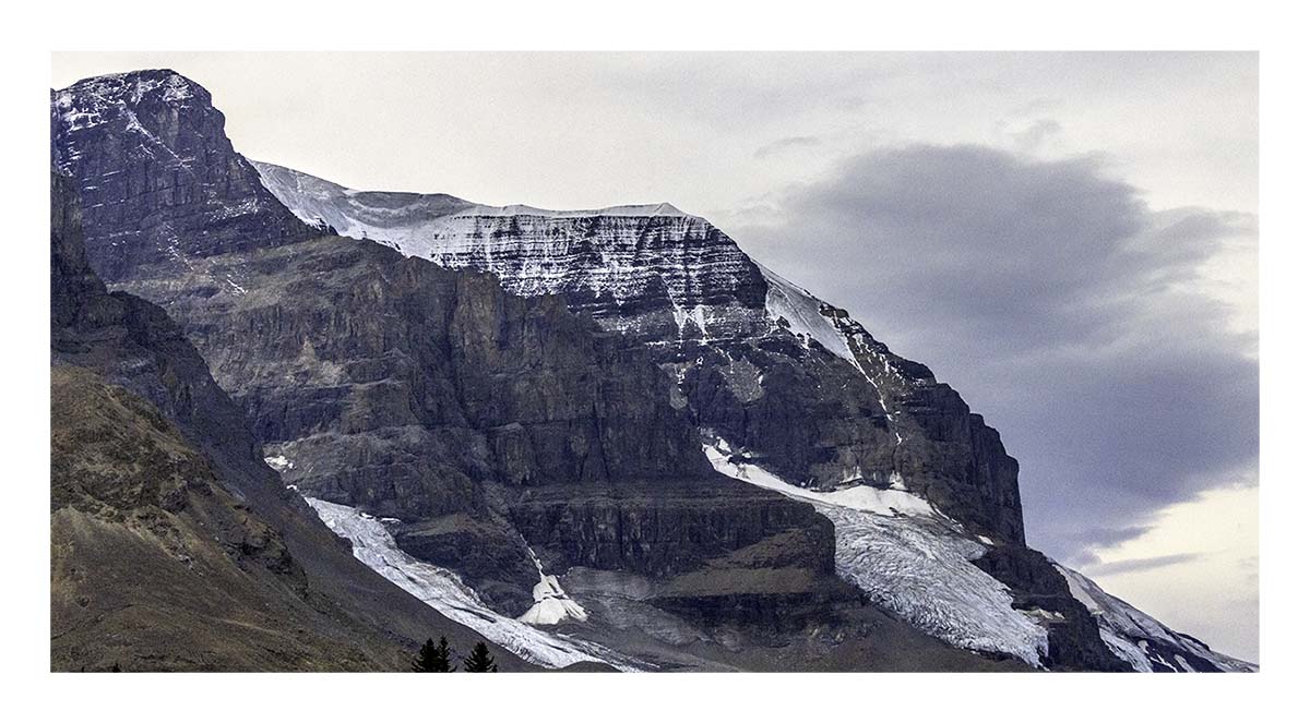 Columbia Icefield