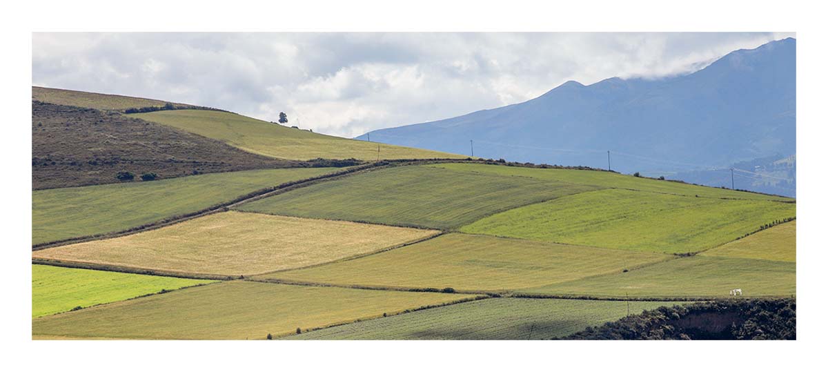 Ecuador