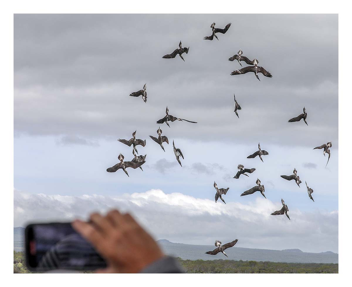 Galapagos