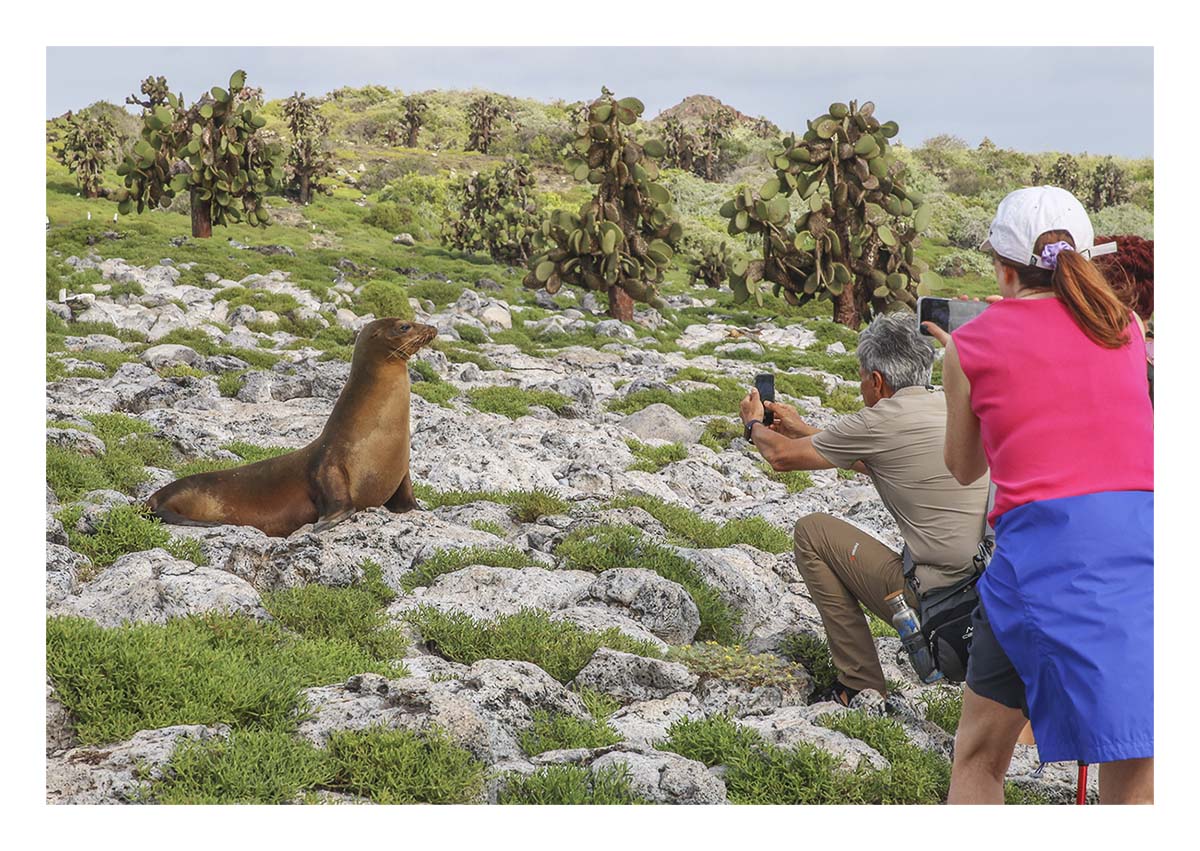 Galapagos