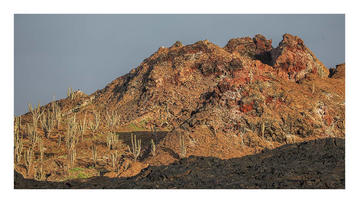 Galapagos