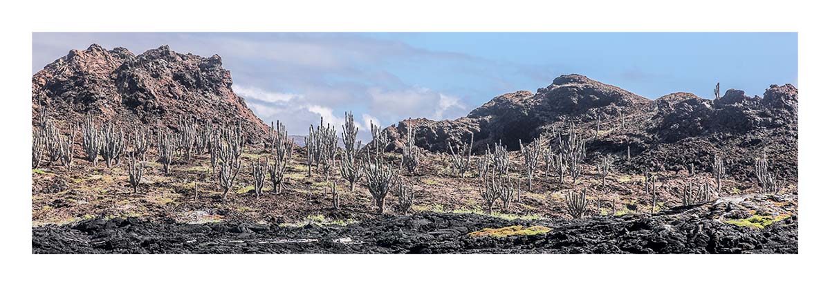 Galapagos