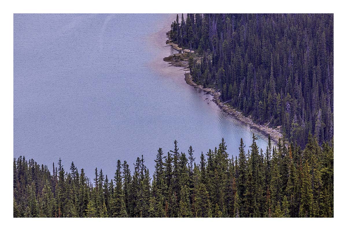 Icefield Parkway