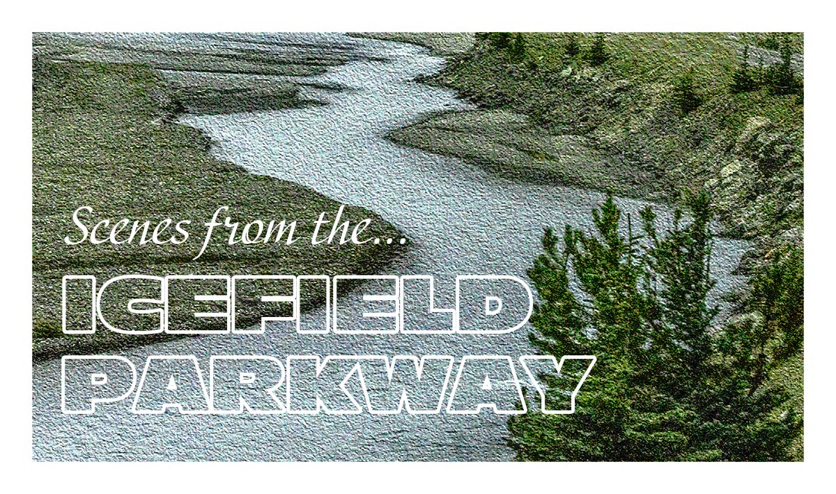 Icefield Parkway