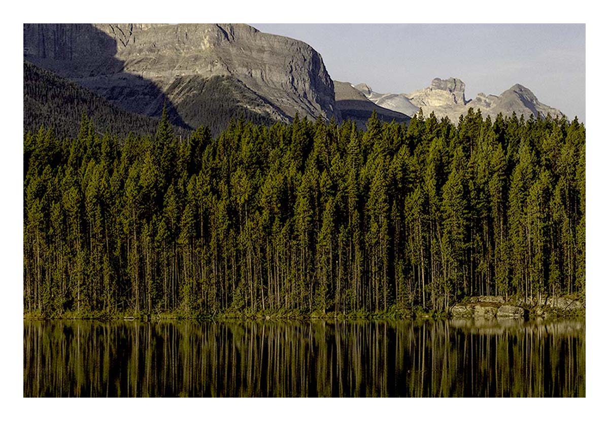 Icefield Parkway