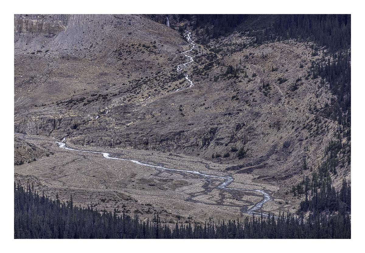 Icefield Parkway