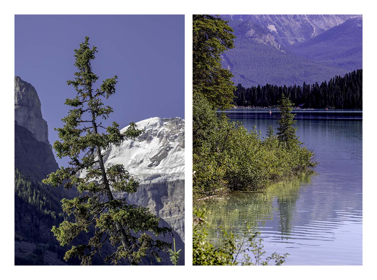 Lake Louise