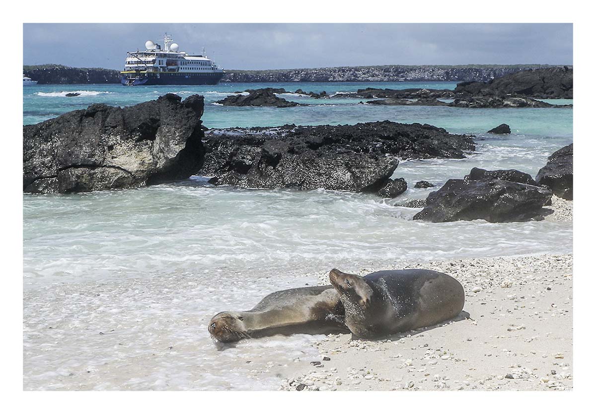 Galapagos