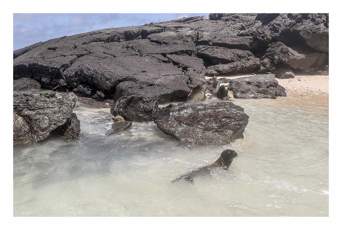 Galapagos