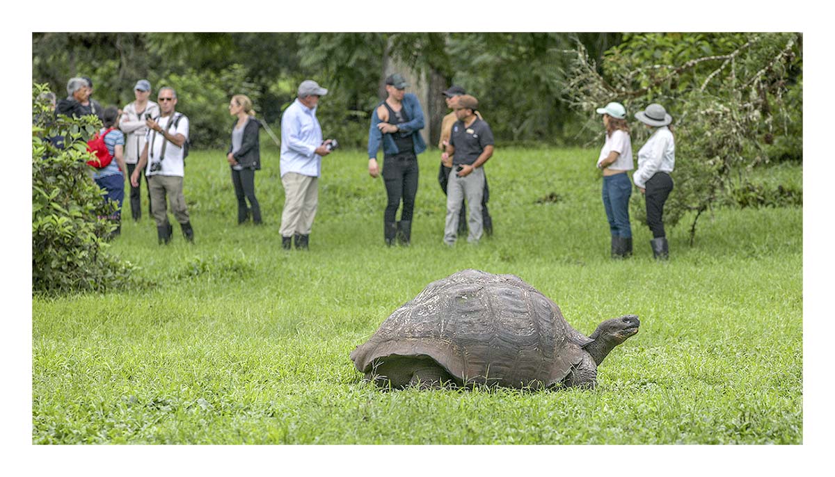 Galapagos