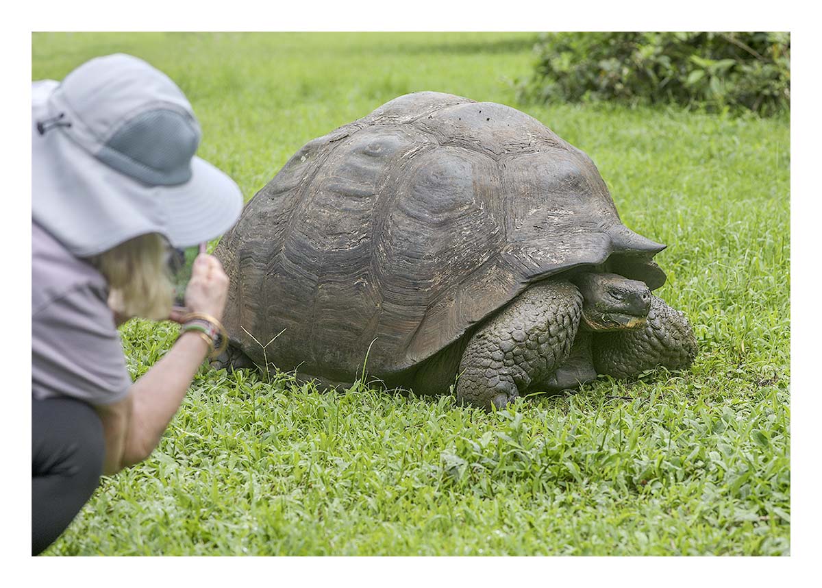 Galapagos