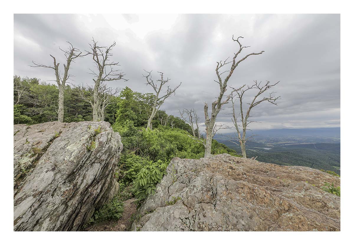 Shenandoah NP