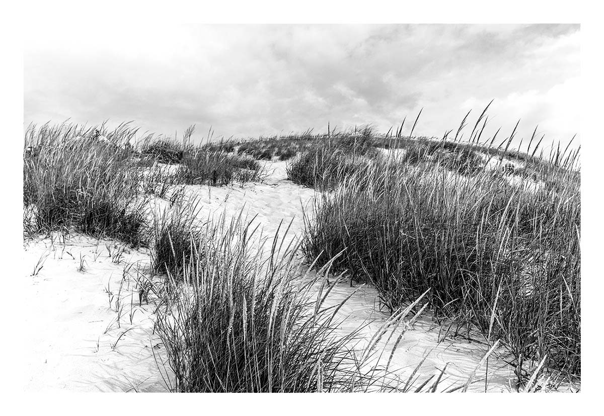 Sleeping Bear Dunes National Lakeshore