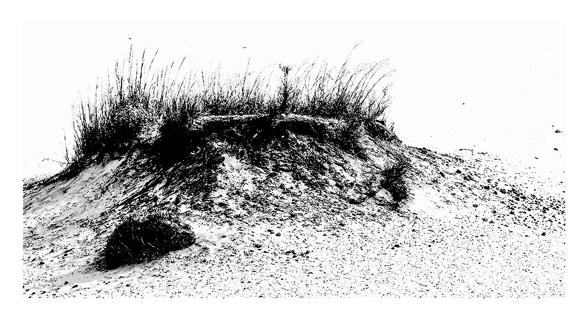 Sleeping Bear Dunes National Lakeshore