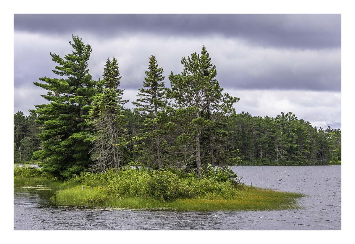 Seney NWR