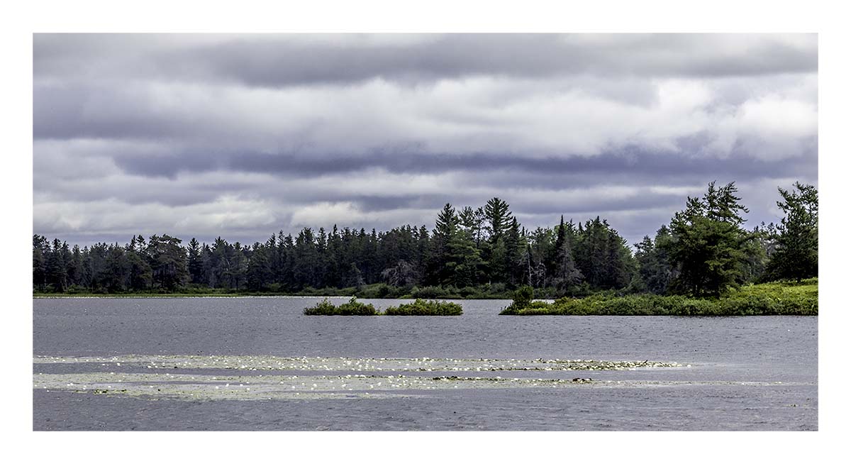 Seney NWR