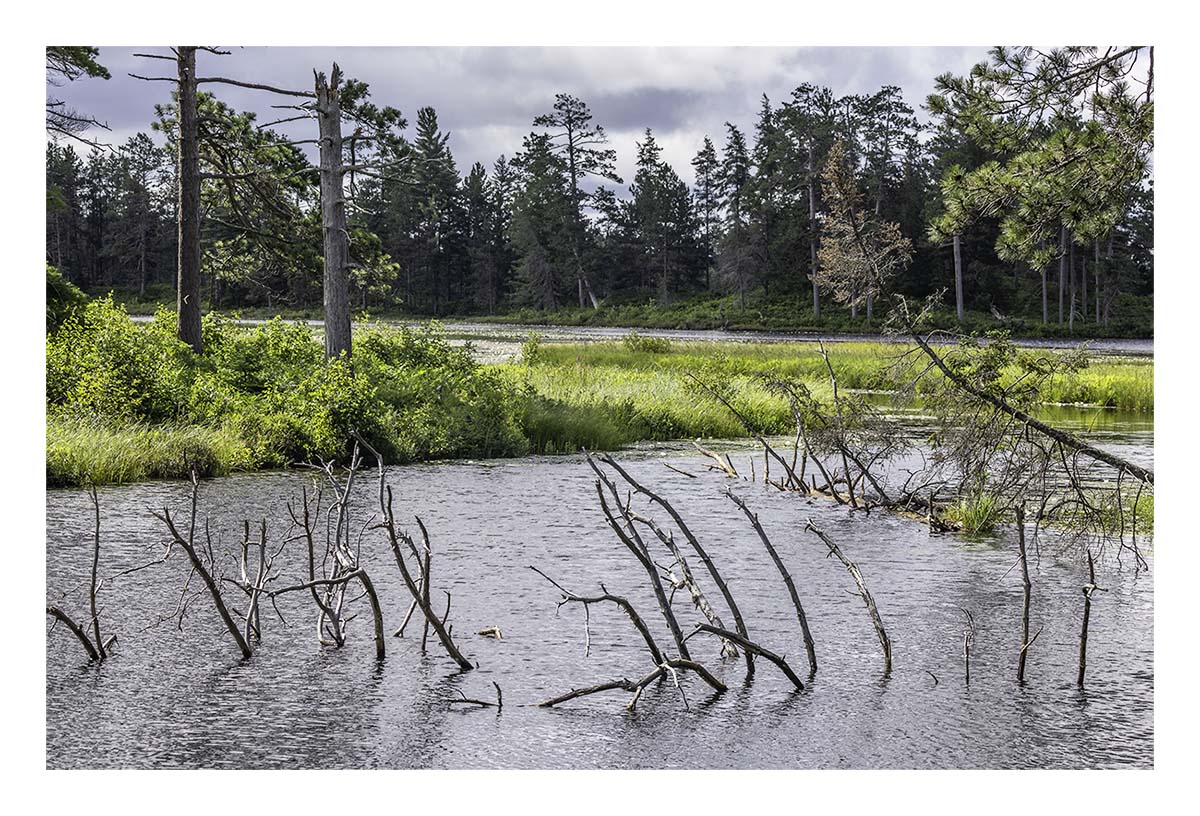 Seney NWR