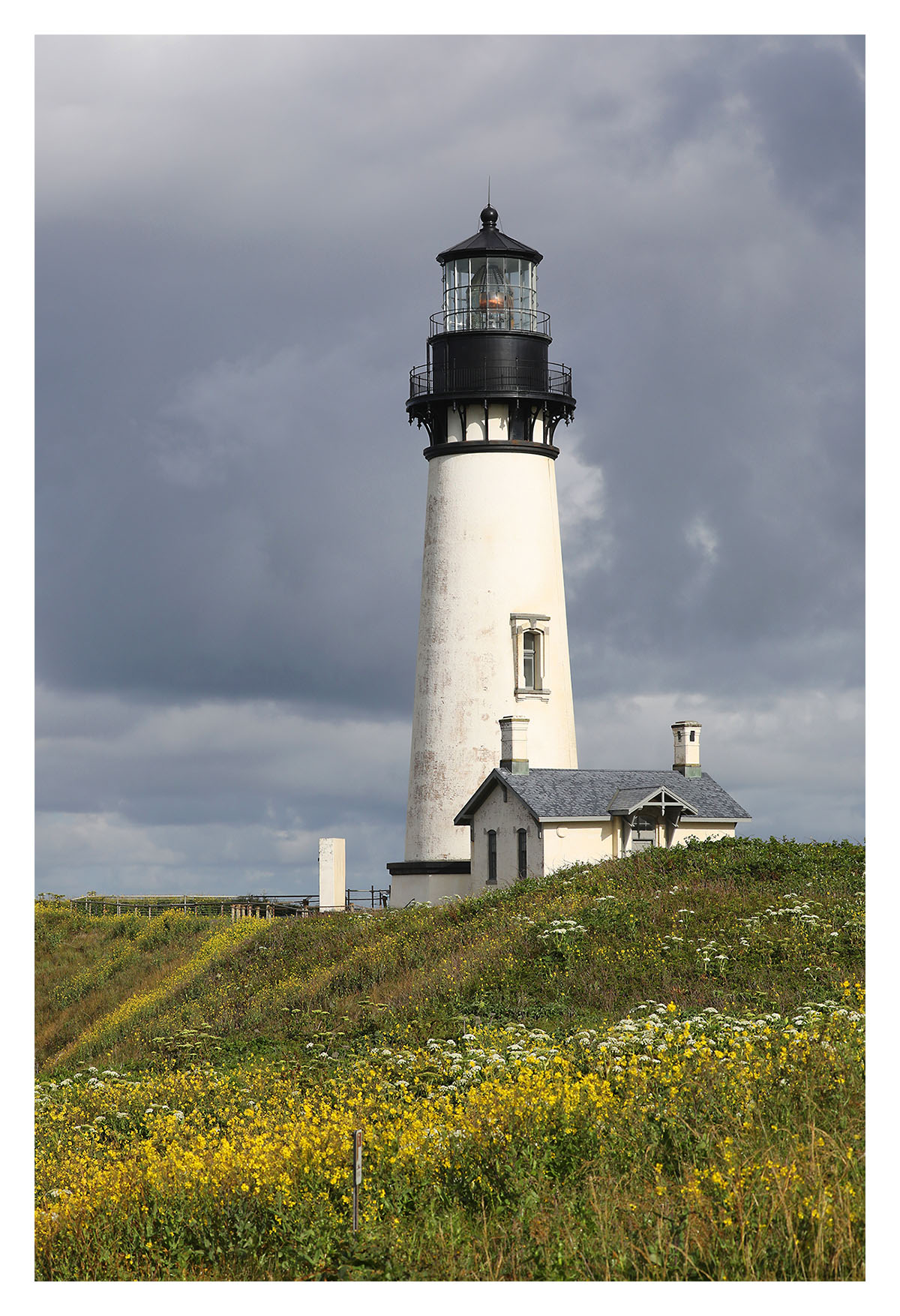 Yaquine Head LH