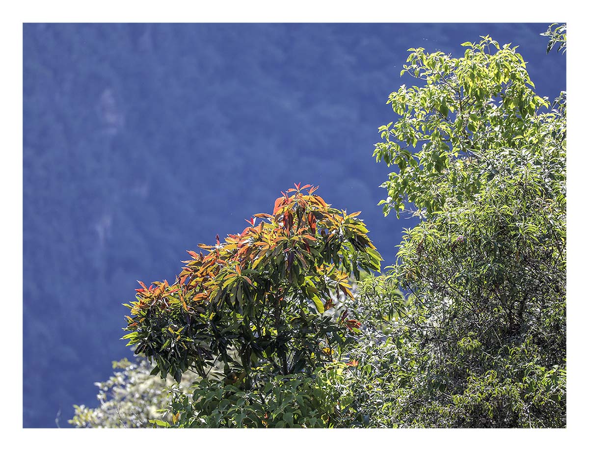 Peru