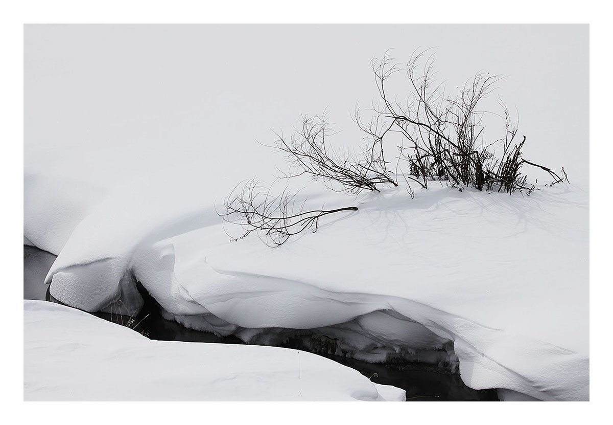 Yellowstone