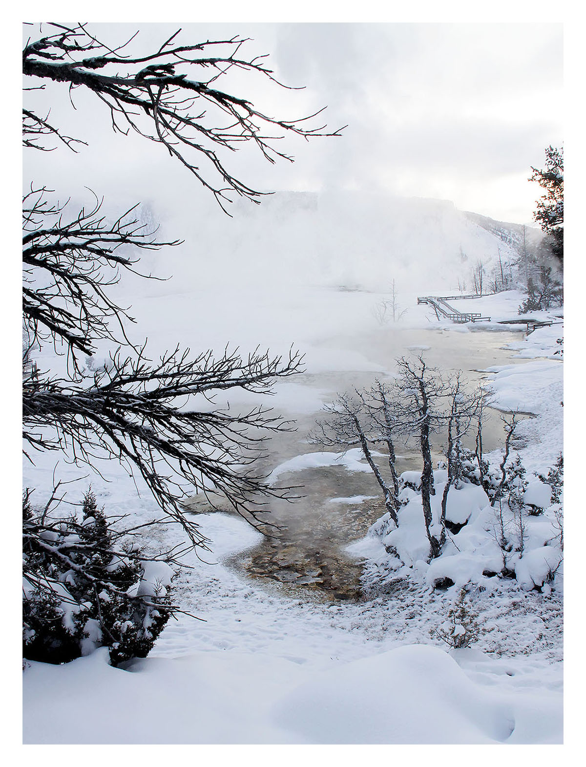 Yellowstone