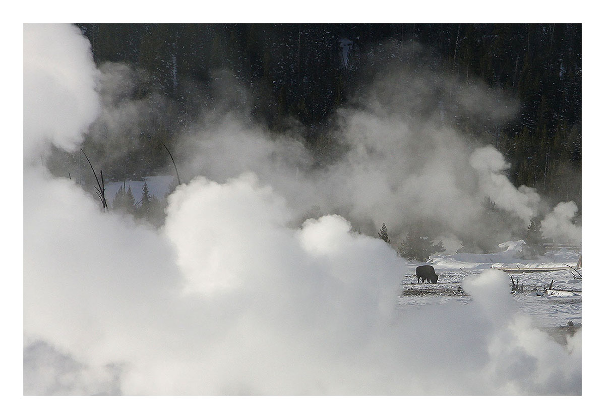 Yellowstone