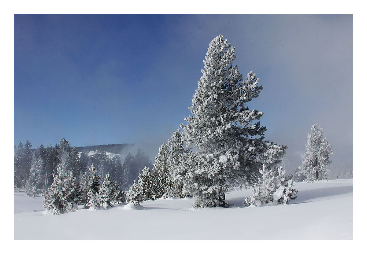 Yellowstone