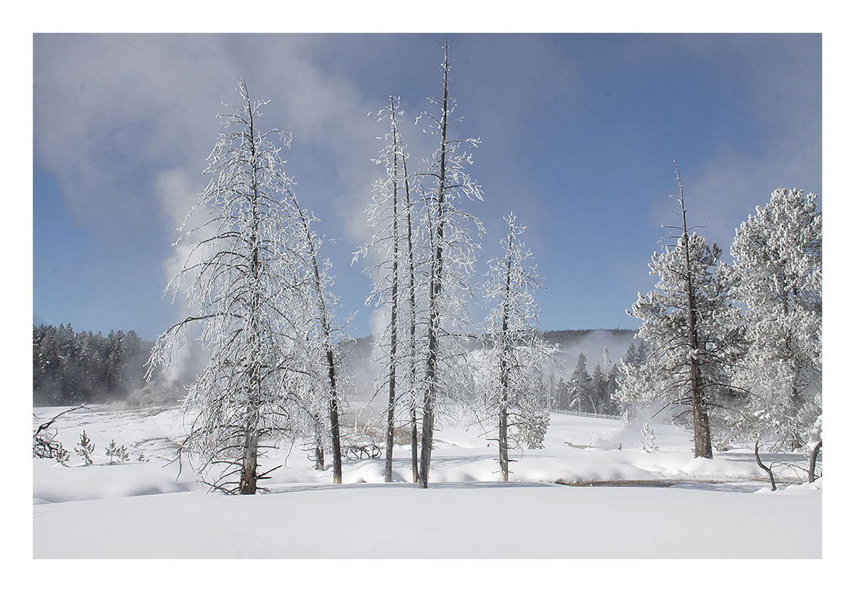 Yellowstone