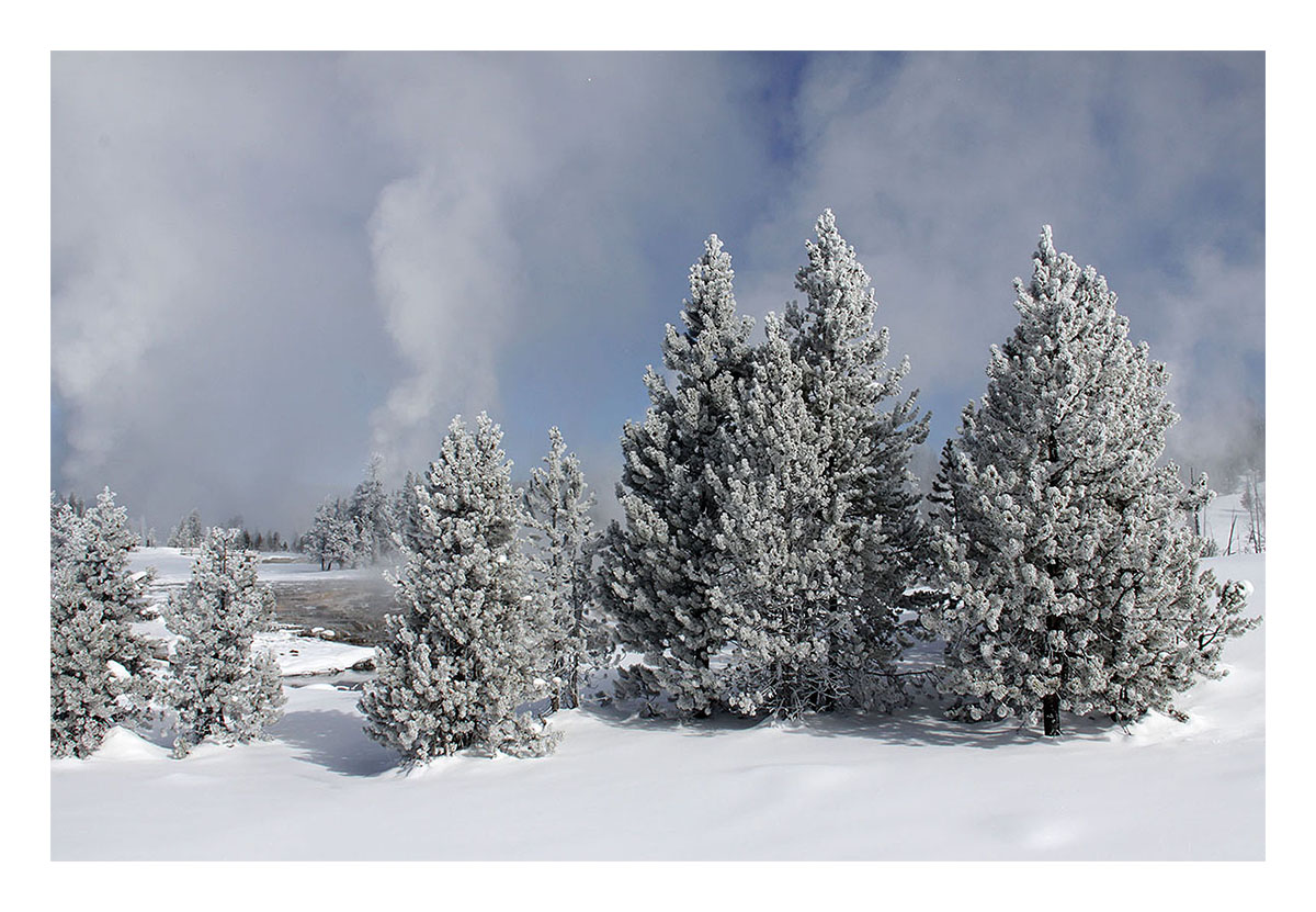 Yellowstone