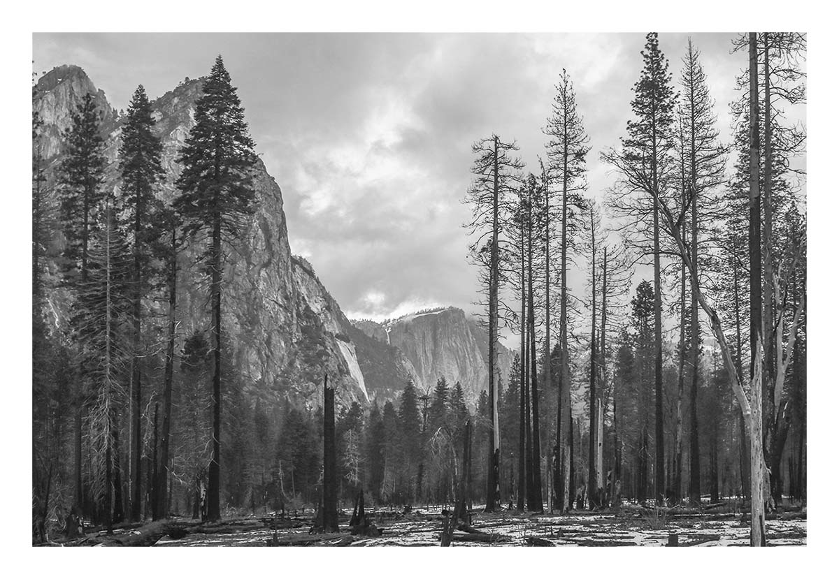 Yosemite